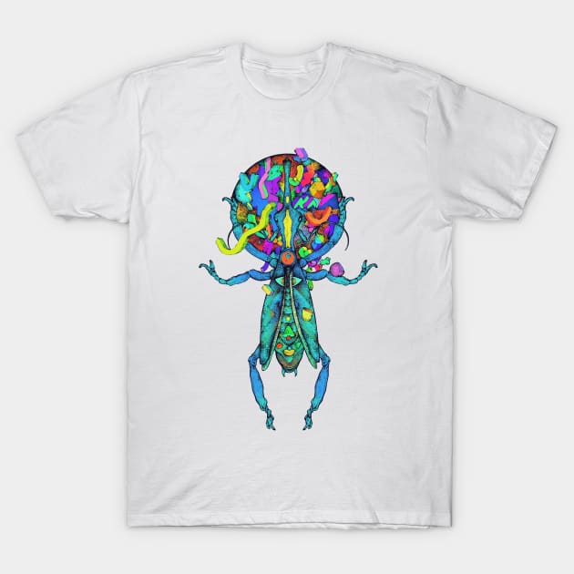 Spatial Beetle Multicolor T-Shirt by ImmortalPink